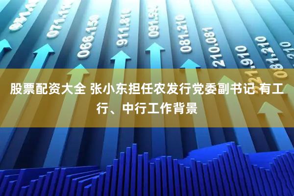 股票配资大全 张小东担任农发行党委副书记 有工行、中行工作背景