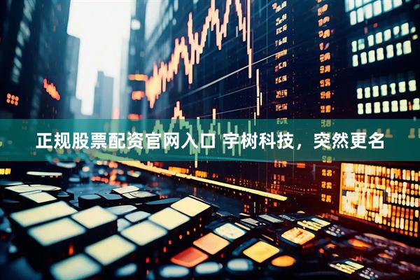 正规股票配资官网入口 宇树科技，突然更名
