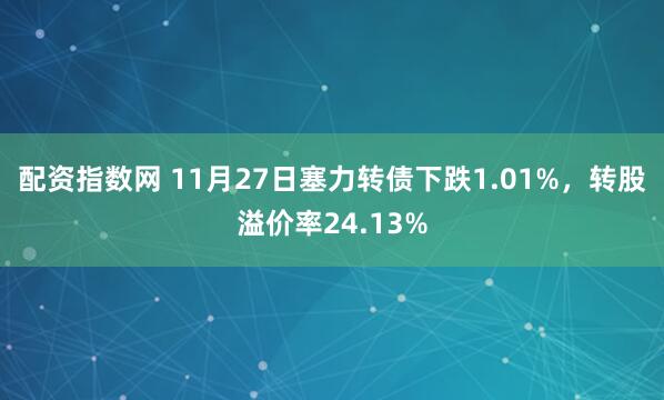 配资指数网 11月27日塞力转债下跌1.01%,转股溢价率24.13%